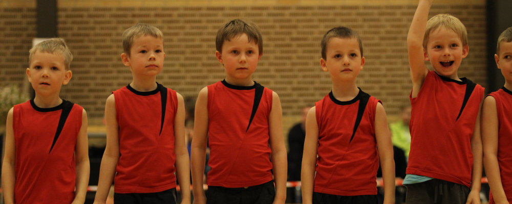 LSI Gymnastik Drenge